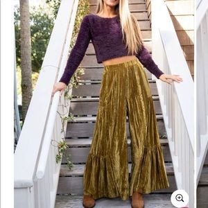 Aria Velvet Wide Leg Pants - Sz M (New with Tags)